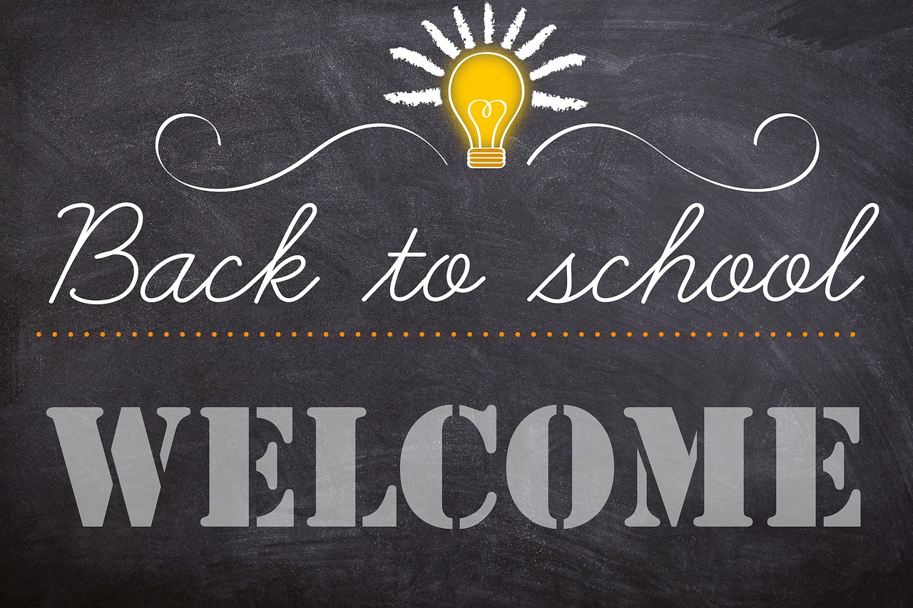 Sustainability in Schools - What's the Role?